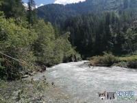 IMG_20200729_115450
