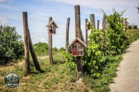 Watermark_13IMG_0107