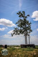 Watermark_22IMG_0116