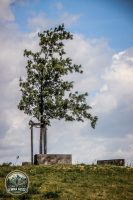 Watermark_26IMG_0120