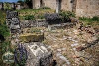 Watermark_6IMG_0100