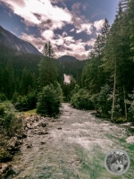 IMG_20210727_122841
