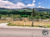 IMG_20210727_143806