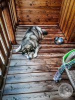 Watermark_4IMG_20250718_154032