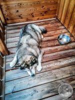 Watermark_5IMG_20250718_154042