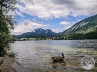 Watermark_11IMG_20250718_094941