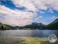 Watermark_14IMG_20250718_095559