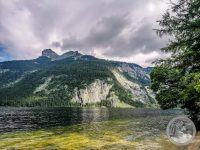 Watermark_15IMG_20250718_095603