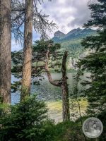 Watermark_19IMG_20250718_095940