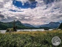 Watermark_29IMG_20250718_105737