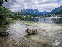 Watermark_5IMG_20250718_093535