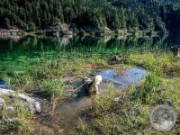 Watermark_10IMG_20250719_094249