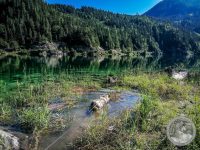Watermark_11IMG_20250719_094253