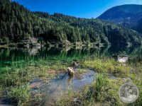 Watermark_12IMG_20250719_094257