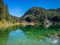 Watermark_6IMG_20250719_094037
