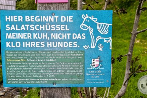 Kurzurlaub 20.-24. Mai 2026 - Bad Kleinkirchheim (Galerie 1)