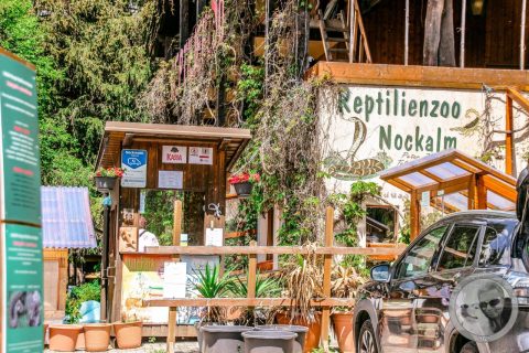 Kurzurlaub 20.-24. Mai 2026 - Bad Kleinkirchheim (Galerie 10)