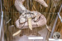 Watermark_117IMG_9660
