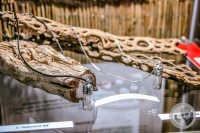 Watermark_118IMG_9661