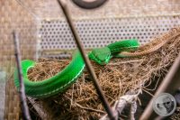 Watermark_13IMG_9555
