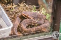 Watermark_14IMG_9556