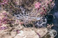 Watermark_16IMG_9558
