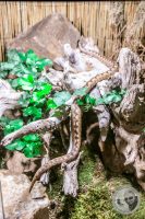 Watermark_18IMG_9560