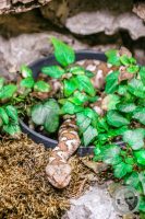 Watermark_19IMG_9561