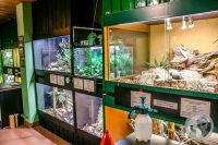 Watermark_29IMG_9571