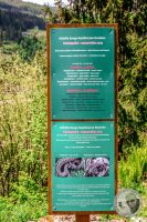Watermark_2IMG_9544