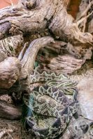 Watermark_36IMG_9578