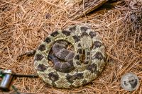 Watermark_38IMG_9580