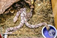 Watermark_39IMG_9581