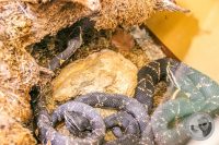Watermark_40IMG_9582