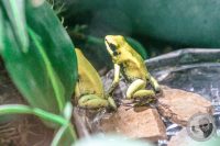 Watermark_47IMG_9589