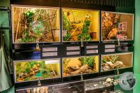 Watermark_5IMG_9547