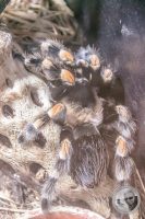 Watermark_70IMG_9613