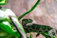 Watermark_71IMG_9614
