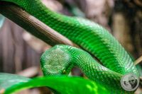 Watermark_79IMG_9622