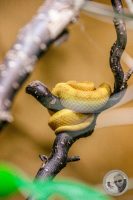 Watermark_86IMG_9629