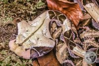 Watermark_92IMG_9635