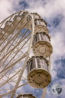 Watermark_17IMG_9090