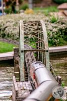 Watermark_24IMG_9097