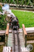Watermark_26IMG_9099