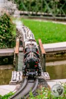 Watermark_29IMG_9102