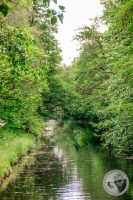 Watermark_2IMG_9078