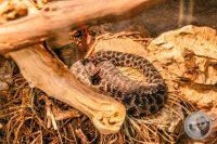 Watermark_13IMG_9141