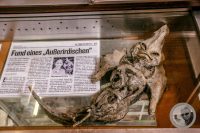 Watermark_14IMG_9142