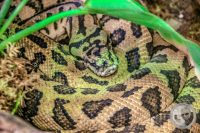 Watermark_15IMG_9143