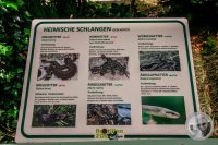 Watermark_26IMG_9154